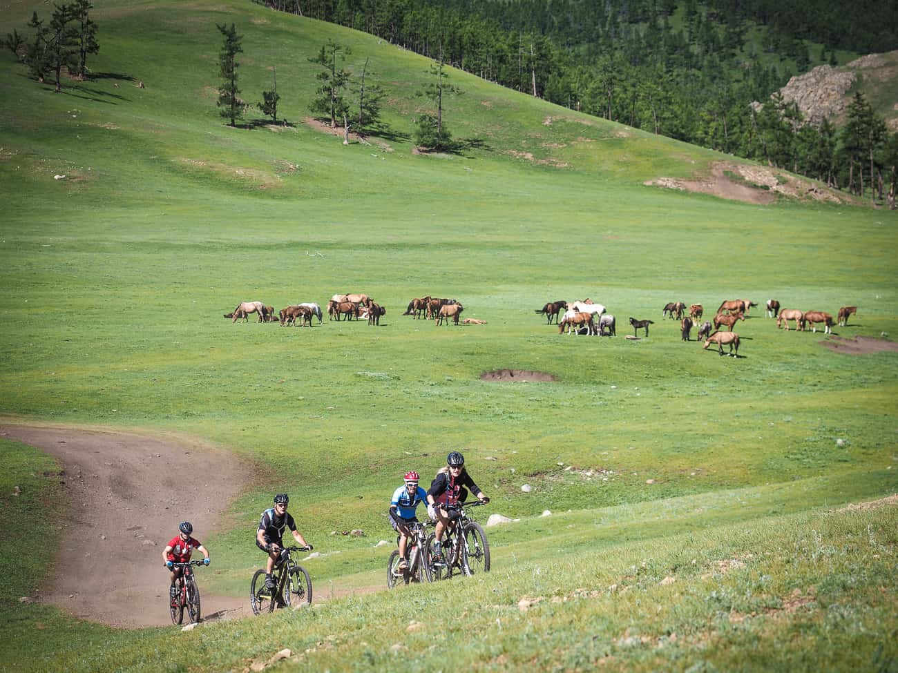 a group of cyclists climbing a hill in Mongolia on a gravel road