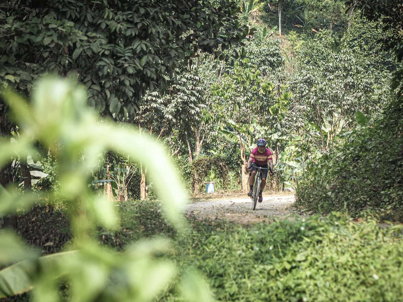 gravel bikes on cycling tour in Thailand